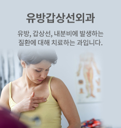 유방갑상선외과 유방, 갑상선, 내분비에 발생하는 질환에 대해 치료하는 과입니다.